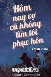 Hôm Nay Vợ Trước Cũng Không Tìm Ta Phục Hôn Poster