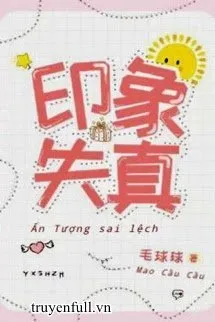 Ấn Tượng Sai Lệch Poster