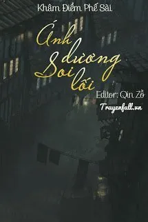 Ánh Dương Soi Lối Poster
