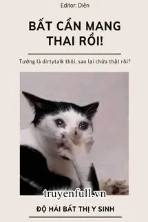 Bất Cẩn Mang Thai Rồi Poster