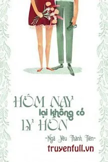 Hôm Nay Lại Không Có Ly Hôn Poster